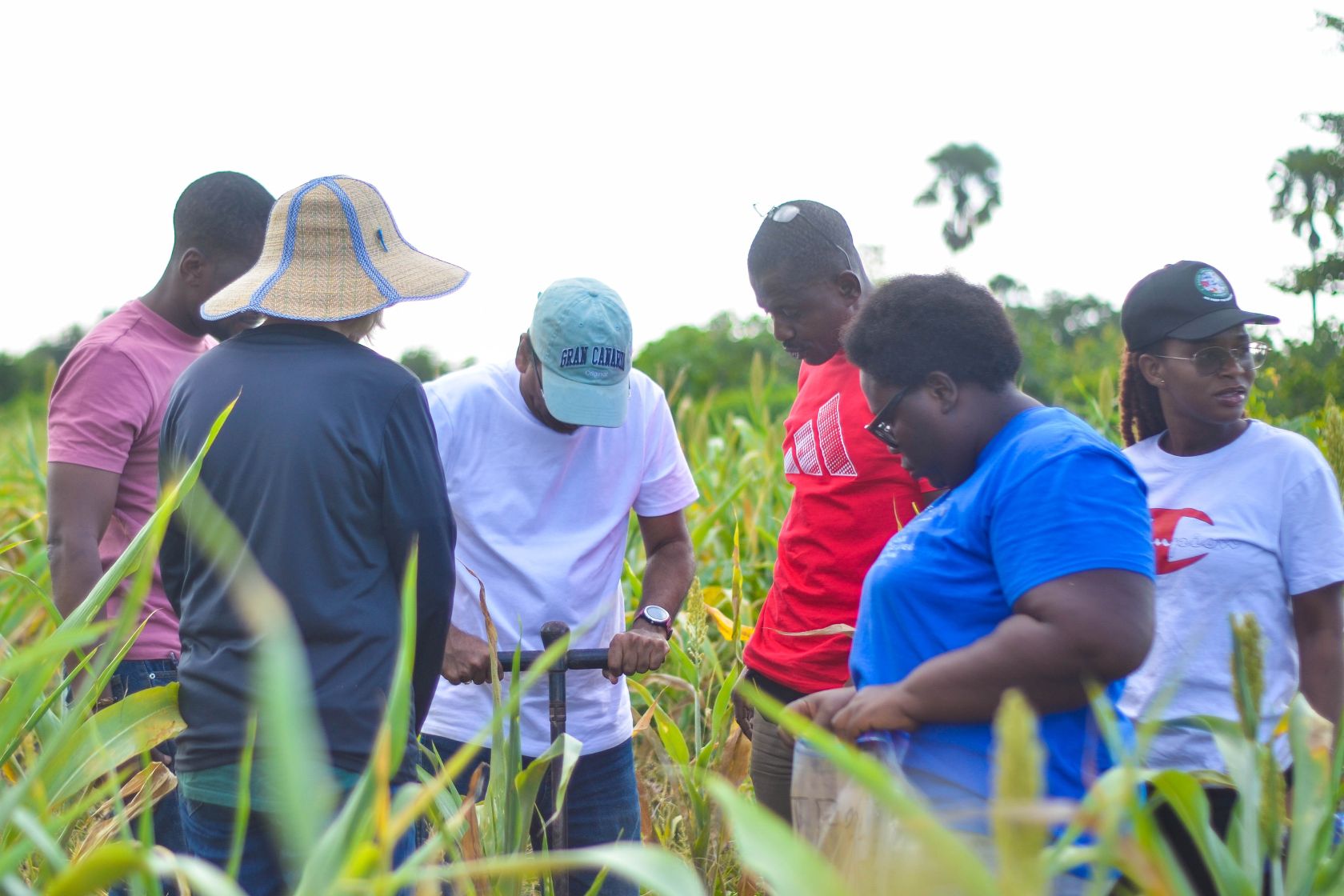 CarbonXtras Deploys Real-Time MRV System to Advance Climate-Smart Agriculture